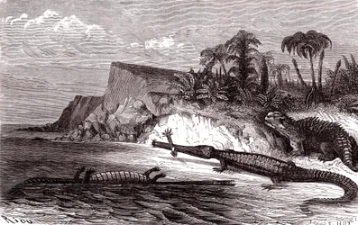 Teleosaurus og Hyleosaurus