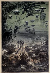 Undervannsgulv. Illustrasjon av Edouard Riou (1833-1900) for romanen "Tjue tusen ligaer under havet"" av Jules Verne (1828-1905) Privatsamling fra 1800-tallet