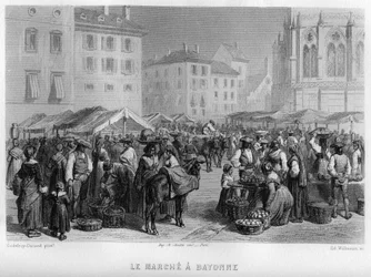 Marche i Bayonne, Pyrenees-Atlantiques (Pyrenees Atlantiques), Aquitaine, Frankrike. Gravering av Willmann i "Ancient and Modern France"" av Jean-Bernard Mary-Lafon (Jean Bernard Mary Lafon)