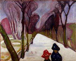 Allee i en virvelvind av snø