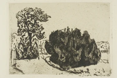 Kveld i parken