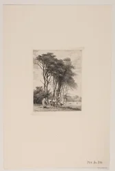 Landskap. Kyr ved en skog