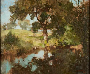 Summer Reflections (olje på lerret)