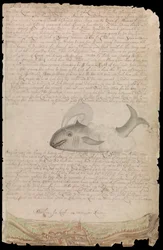 Tallerken fra Edward Barlows dagbok om livet hans til sjøs på kongens skip, ostindiefarere og andre handelsskip fra 1659 til 1703.