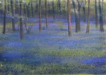 Bluebell Wood (pastell på papir)