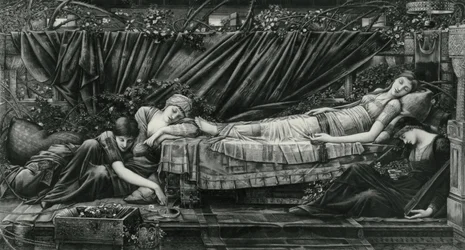 Rose Bower, fra Briar Rose-serien