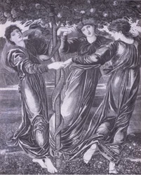Hagen til Hesperides, Bibby