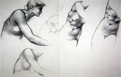 The Tree of Forgiveness - Studie for figuren Phyllis, ca. 1882 (blyant på papir)