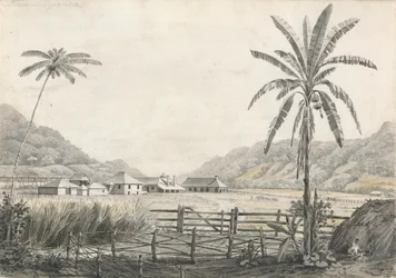 Utsikt over Hall-head Sugar Plantation, Jamaica