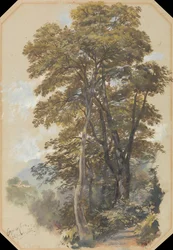 Cava-korpset, 28. juni 1838