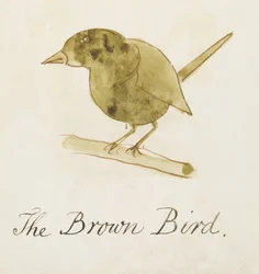 The Brown Bird, fra Sixteen Drawings of Comic Birds (penn og blekk wc på papir)