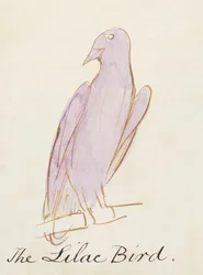 The Lilac Bird, fra Sixteen Drawings of Comic Birds (penn og blekk wc på papir)