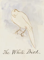 The White Bird, fra Sixteen Drawings of Comic Birds (penn og blekk wc på papir)