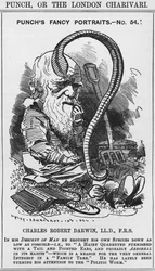 Charles Darwin, Punchs fancy portretter, nr. 54, illustrasjon fra 