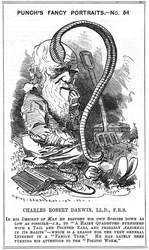 Charles Darwin (1809-1882), engelsk naturforsker. Evolusjon ved naturlig utvalg. Karikatur av Edward Linley Sambourne (1844-1910) i serien «Fancy Portrait» i Punch, London 1881, året da Darwin utga Dannelsen av plantejord gjennom virkningen