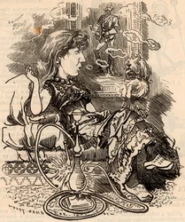 Også (1839-1908)