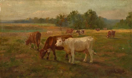 Kyr, n.d.