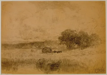 Landskap, skog (#13) c. 1880 (grafitt på papir)