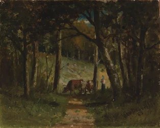 Uten tittel (kyr på sti i skogen)