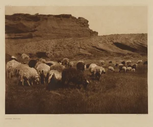 [Navajo-flokker]