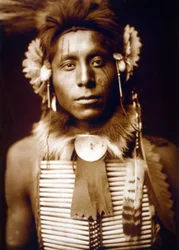Sittende ørn, kråkemann, ca. 1905, foto Edward S. Curtis
