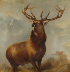 Monarch of the Glen (olje på lerret)