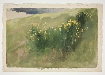 Landskap med markblomster