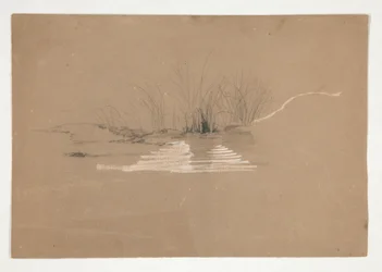 Trær på bredden av elven (?)