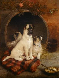 Lev og lær