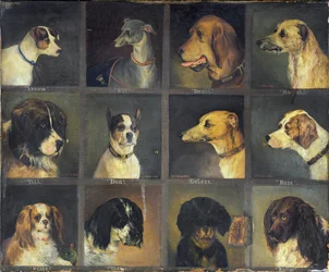 Tolv favoritthunder, 1883