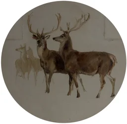Deer in a Landscape (Studier of Deer)