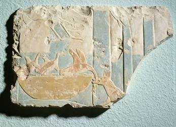 Relieff som viser et raid av et hundelignende dyr på et fuglereir, fra begravelsestempelet til kong Montuhotep II, Middle Kingdom (malt kalkstein)
