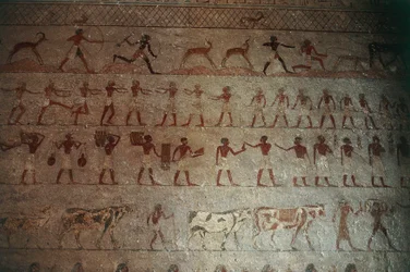 Nekropolen i Beni Hasan. Amenemhats grav, detalj: veggmalerier som viser jaktscener og landliv