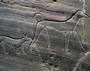 Et par hunder, avlastning fra inngangen, Sarenput II