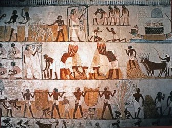 Egyptisk kunst: Høstscene. Veggmaleri i Mennas grav i Elwe..., ca. 1400 f.Kr.