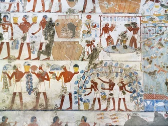 Egypt, Theben, Luxor, Sheikh 'Abd al-Qurna, graven til den kongelige kornmagasinets oppsynsmann Menkheper, veggmalerier, vinhøst og vinproduksjon
