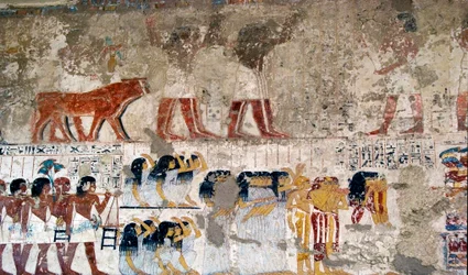 Egyptisk antikvitet: "" bærere av offer og gråt""" Fresco of the Tomb of the Vizir Ramose (18. dynasti). Luxor, Vestbredden, Valley of the Nobles Egypt - Det gamle Egypt: tilbyr bærere og sørgende. Fresco fra graven til vizieren Ra