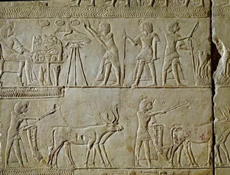 Egyptisk antikvitet: scener med arbeid på markene og ofringer til farao. Detalj av et relieff fra graven til Horemhed (cirka 1323-1293 f.Kr.) kongelig skriver av Tutankhamun. 1354-1326 f.Kr. Bologna, Civico Museo Archeologico