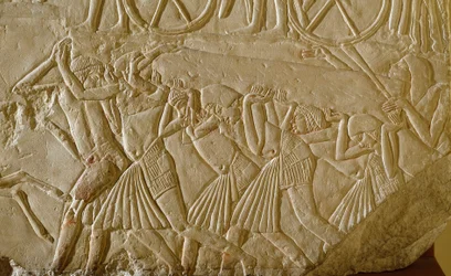 Egyptisk antikvitet: slaver som bærer en obelisk under de store verkene til det faraoniske Egypt. Detalj av et relieff fra graven til en høytstående tjenestemann fra det sene 18. dynastiet. 1570-1320 f.Kr. Bologna, Civico Museo Archeologico