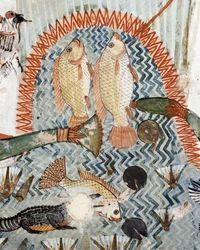 Fisk, detaljer fra åstedet for jakt og fiske i myrene, freskomaleri, nordvegg, langsgående kammer, Theban Tomb TT69, Sheikh Abd el-Qurna, Theben (Unescos verdensarvliste