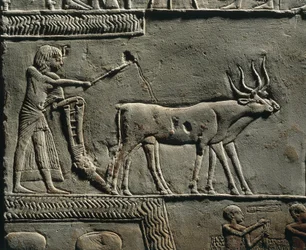 Horemheb pløyer jord på Iarus marker. Relieff fra Horemhebs grav i Saqqara, detalj.