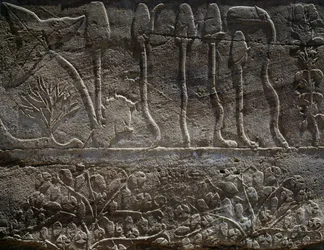 Planter brakt tilbake fra Thutmose IIIs ekspedisjon i Syria i 1465 f.Kr., detalj av relieff, hall kjent som den såkalte botaniske hagen, Amons tempel, Karnak tempelkompleks, egyptisk sivilisasjon, Det nye riket, XVIII. dynasti