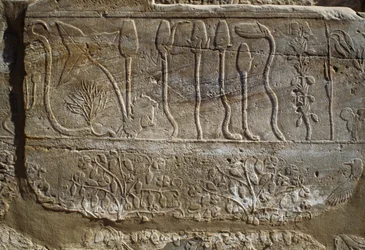 Relieff av dyr og planter ofret til Amon av Thutmose III da han kom tilbake fra felttoget i Syria i 1465 f.Kr., Botanisk hagerom, Karnak, Thebansk nekropolis, Luxor, Egypt, Det nye riket, XVIII. dynasti
