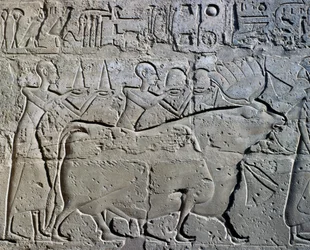 Figurer som symboliserer gruvedistrikter som bringer sine hyllester til gud, relieff, Ramses II-gårdsplassen, Amons tempel (Unescos verdensarvliste)