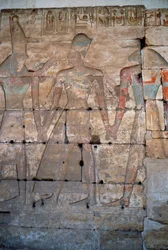 Egyptisk antikvitet: detalj av de lave relieffene til tempelet til Sethi I i Abydos