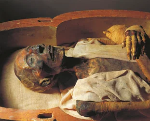 Mumien til Ramses II (omtrent 1297-1213 f.Kr.), detalj