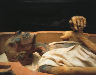 Mumie av Ramses II, detalj