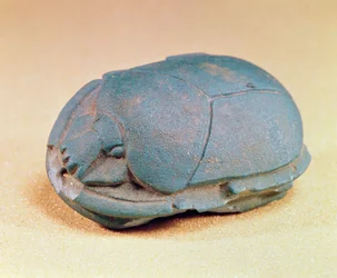 Scarab fra nakkeperlen til en mumie, sen periode, ca. 600 f.Kr. (blå glasspasta)