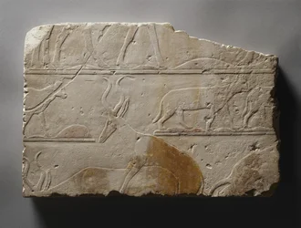 Relieff med ørkendyr, Old Kingdom, funnet ved Saqqara, ca. 2472-2455 f.Kr. (malt kalkstein)