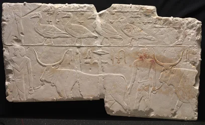 Relieff av menn som bringer fugler og storfe, ca. 2311-2281 f.Kr